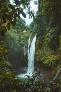 Stunning waterfall in a lush tropical rainforest in Sukasada, Bali. Perfect for nature lovers.